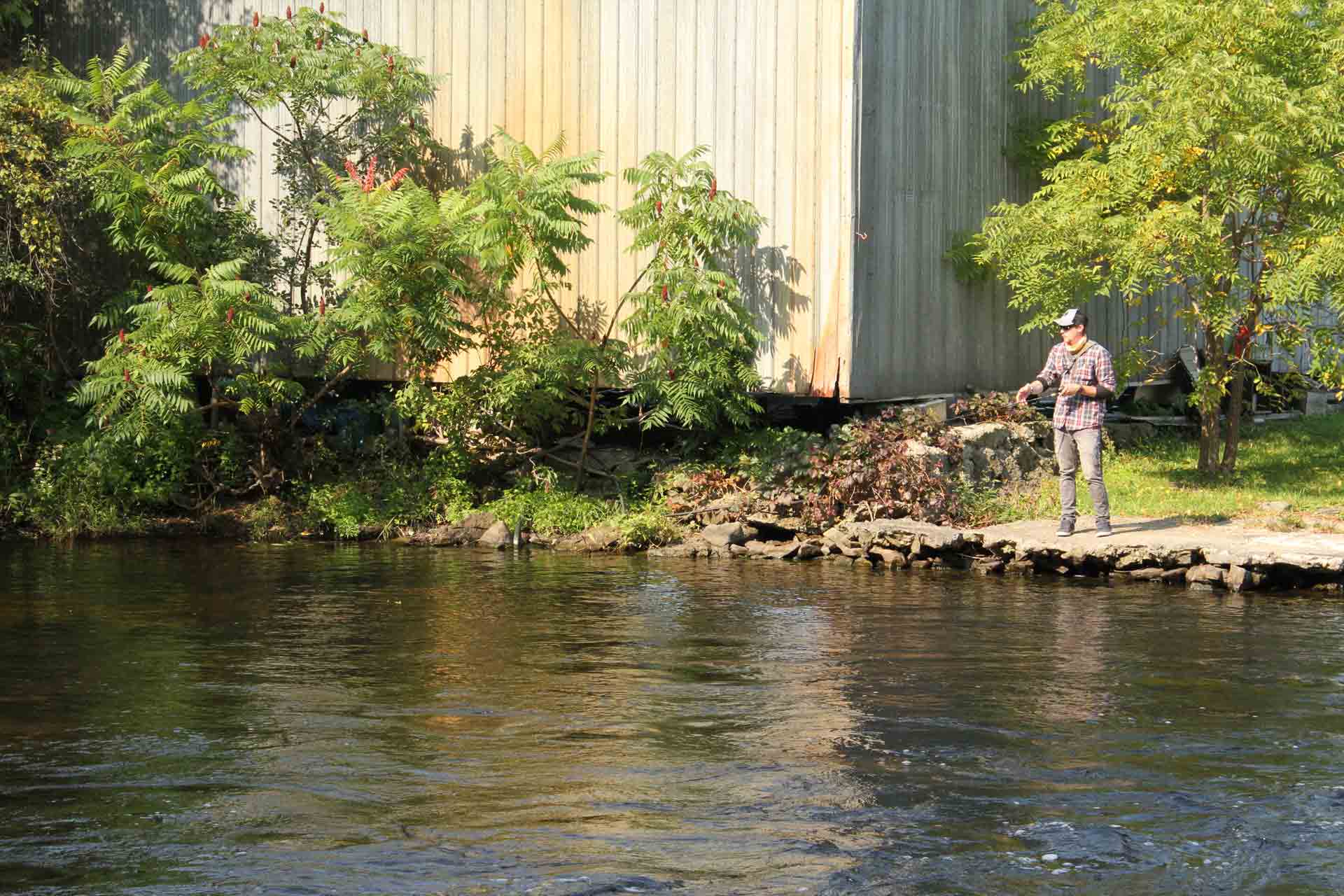 Fishing on the Canal